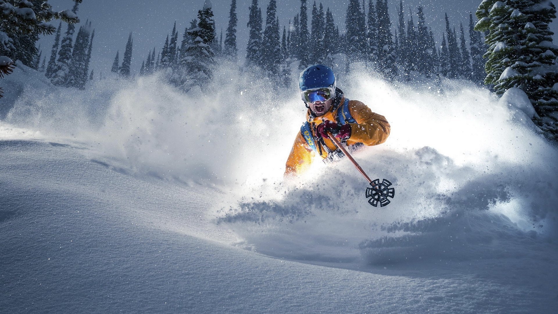 国际帆板夜赛志愿者技能提升营第五期开营通知，帆板比赛成绩